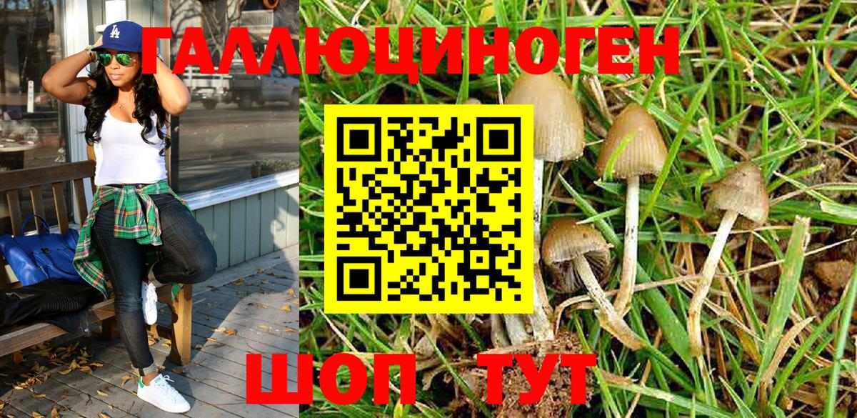 Галлюциногенные грибы MAGIC MUSHROOMS  Вход с VPN  Арсеньев 