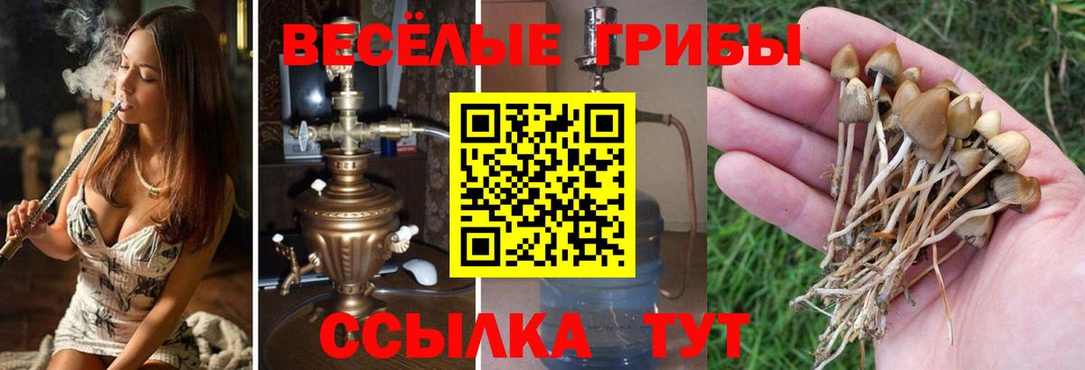 Галлюциногенные грибы ЛСД Арсеньев